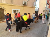 Paseos en poni en el centro de la ciudad_Martigues