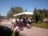 Paseos en carruaje_Martigues