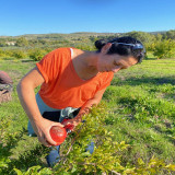 Aromatic herb planting workshop & introduction to agroforestry_Martigues