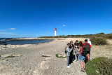 Balade plantes sauvages comestibles et médicinales du littoral_Martigues