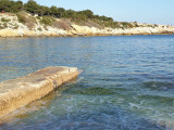 Camina para descubrir plantas silvestres comestibles y medicinales de la costa._Martigues