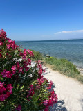 Les Sentiers du Calme - Sophro-balade_Martigues