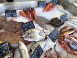 Marché aux poissons de Carro_Martigues - © Otmartigues / MyriamF Marché aux poissons de Carro_Martigues