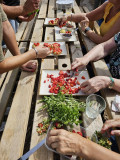 Atelier cuisine à la ferme Aïoli Caganis_Martigues