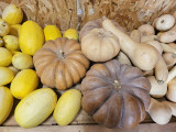 Atelier cuisine à la ferme Aïoli Caganis_Martigues - © Otmartigues / Marianne.B Atelier cuisine à la ferme Aïoli Caganis_Martigues
