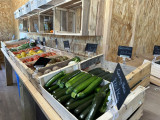 Atelier cuisine à la ferme Aïoli Caganis_Martigues - © Otmartigues / Bérengère.B Atelier cuisine à la ferme Aïoli Caganis_Martigues
