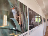 Exposición: Biodiversidad, una mirada interdisciplinaria a la fauna y flora locales._Martigues