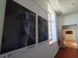 Exposición: Biodiversidad, una mirada interdisciplinaria a la fauna y flora locales._Martigues