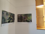 Exposición: Biodiversidad, una mirada interdisciplinaria a la fauna y flora locales._Martigues