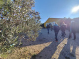 Encuentro con un olivarero en el Domaine Plan de Fossan_Martigues