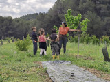 Pomegranate Picking in Martigues: Family Tasting and Harvest_Martigues