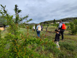 Pomegranate Picking in Martigues: Family Tasting and Harvest_Martigues