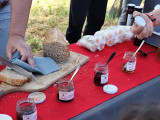 Pomegranate Picking in Martigues: Family Tasting and Harvest_Martigues