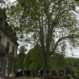 img_3785_copie.jpeg
