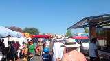 Jonquières market_Martigues
