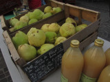 Lokaler Bauernmarkt_Martigues