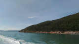 The shore of the Etang de Berre is wild and densely vegetated. The sea is green, waves form in the water after a boat passes by. Cloudless blue sky on the Martigues side.