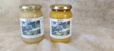 José Pigaglio - Organic Honey Jar of 500gr