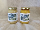 José Pigaglio - Organic Honey Jar of 500gr