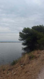 Balade écologique autour de l'étang de Berre depuis Martigues. Eau calme et rives sauvages pour une immersion pleine nature avec un guide passionné. Balade écologique avec l'Office de Tourisme de Martigues