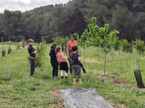 Descubra la agroforestería de Côté Grenades en Martigues. Visita, plantación, recolección de granadas y degustación para niños y adultos.