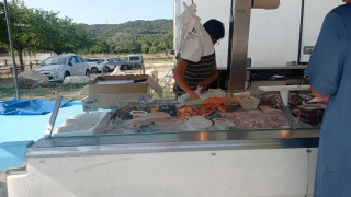 Markt von Saint-Julien-les-Martigues_Martigues