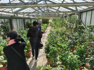 Visite de la collection de lauriers roses_Martigues