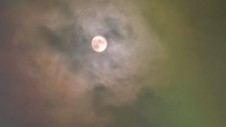 La nuit des étoiles_Martigues