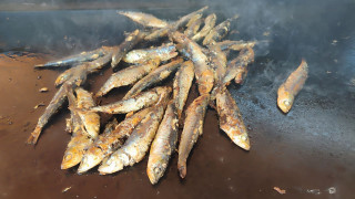 Sardinades et Compagnie_Martigues
