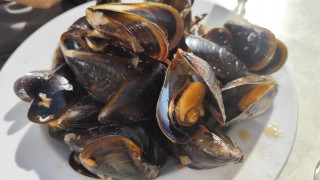 Moulade à Martigues_Martigues
