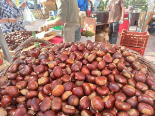La Fiesta de la Castaña en Martigues_Martigues