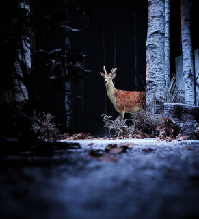 Visite de décors - Neige_Martigues