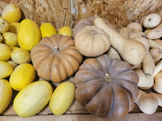 Cooking workshop at the Aïoli Caganis farm_Martigues