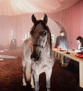 Léviathan_Martigues