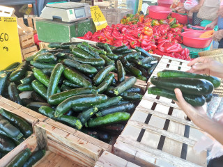 Jonquières market_Martigues