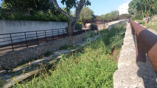 Visite du site archéologique de Tholon_Martigues