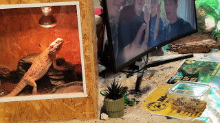 A la rencontre des associations_Martigues