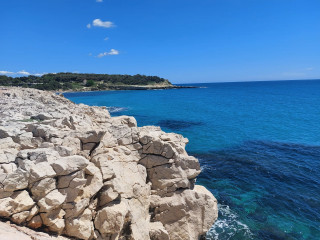 Carrera Martigues-Carro: La carrera de la solidaridad_Martigues