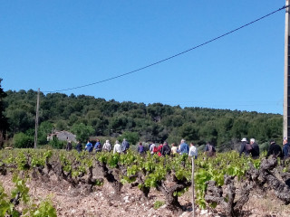 Fête de la vigne et du vin_Martigues