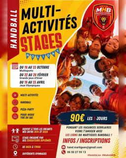Handball : stage multi activités_Martigues