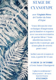 Stage de cyanotype