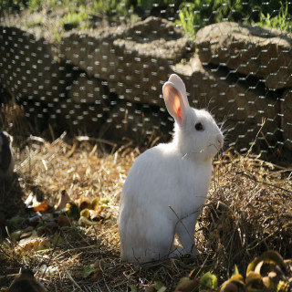 Animations à la ferme pédagogique pour les vacances de la Toussaint_Martigues