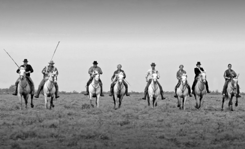 Reiten Sie Reiten in die Manade Salierene