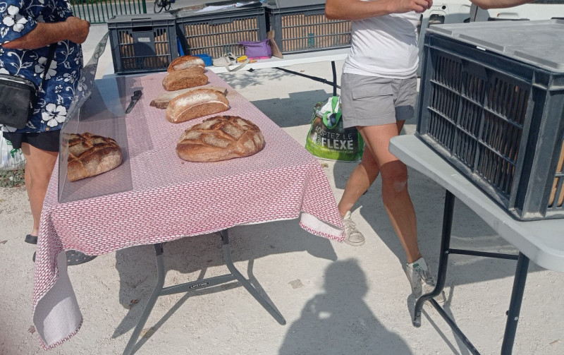 Saint-Julien-les-Martigues market_Martigues