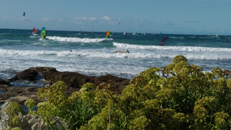 Surf_Martigues
