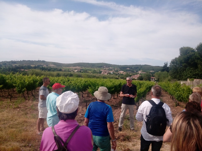 Balade immersive au cœur des vignes_Martigues