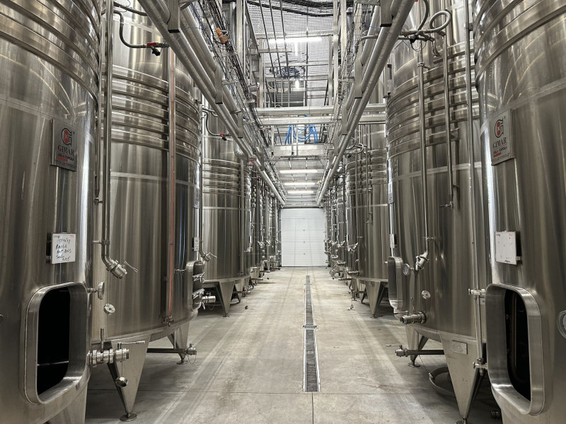 Immersive walk in the heart of the vineyards_Martigues
