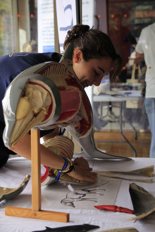 L’association Miraceti fête ses 5 ans !_Martigues