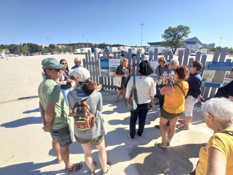 Secrets du Calen : Pêche traditionnelle et dégustation de Poutargue_Martigues
