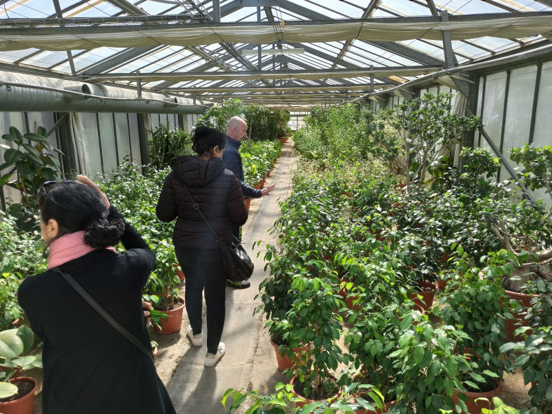 Visite de la collection de lauriers roses_Martigues